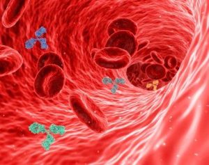 Blood Cancer